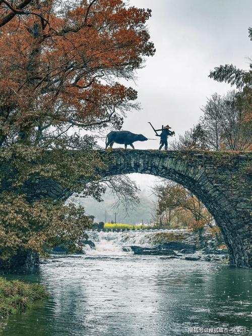 黄山6天5晚旅游团怎么选?婺源旅行社揭秘本地团陷阱 高性价比方案
