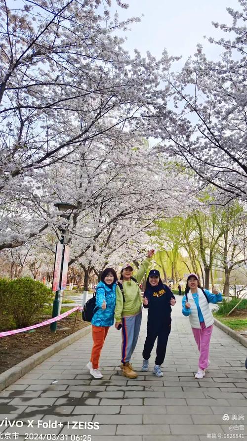 3月29日一31日,随大自然旅行社,登八达岭,居庸关长城,坐春天小火车