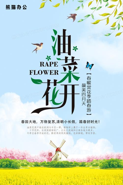 唯美婺源油菜花节春天旅游海报