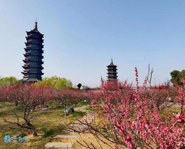 春季出游热情高涨 旅游市场迎来春天